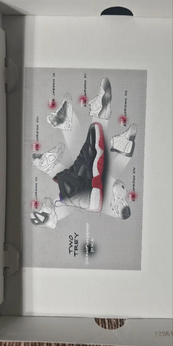 Jumpman Two Trey Raptor colorway Men's Size 13